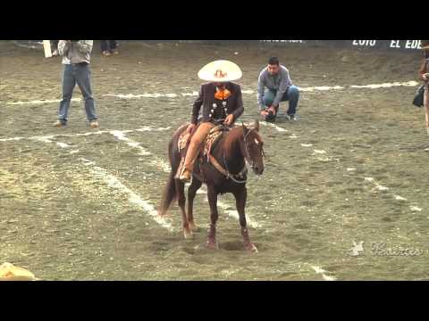 Cala de Caballo de 48 puntos - Excelencia Charra 2013