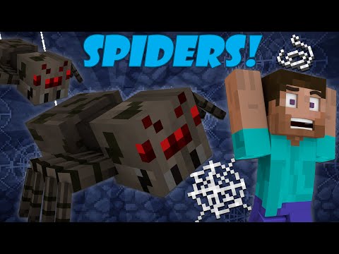 Why Spiders Attack at Night - Minecraft