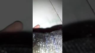 Download lagu Punk in love mp3