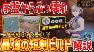 【EoA SAO】序盤最強の短剣ビルドがやばすぎる、一撃3000～4000ダメージのぶっ壊れ技が判明＆回復薬の増やし方【Echoes of Aincrad】