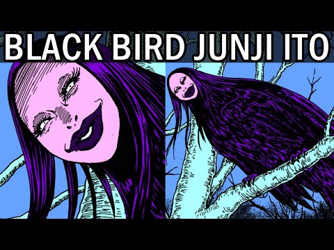 Black Bird Narrated in Spanish - Complete Story by Junji Ito | HFLain
