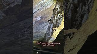 Watch video: Think Your Crawl Space is