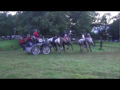 paardenmarathon st.nyk '12 ( H7 ) ( stalokkema.nl )