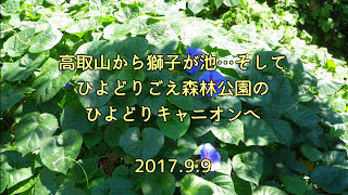 2017/9/9 高取山から獅子が池、そしてひよどりキャニオンへ