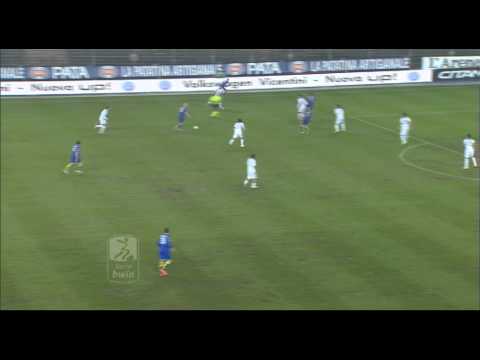 Hellas Verona-Cesena 1-1, 15a giornata Serie bwin