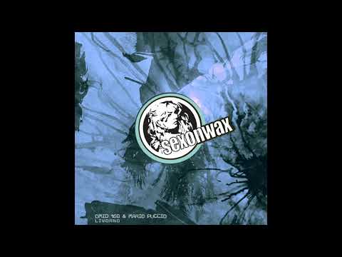 Omid 16B & Mario Puccio - Livorno (Omid 16B Remix) | SexOnWax Recordings