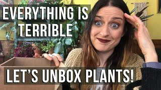 Let’s Socially Distance and Open Plants | Little Prince Plants Mystery Box!