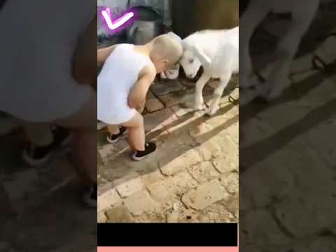 Tere Bin Episode 48 Teaser - 24th May 2023 - HAR PAL GEO