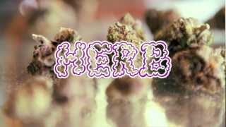 Nick Jame$ & Rell P - Herb Music Video