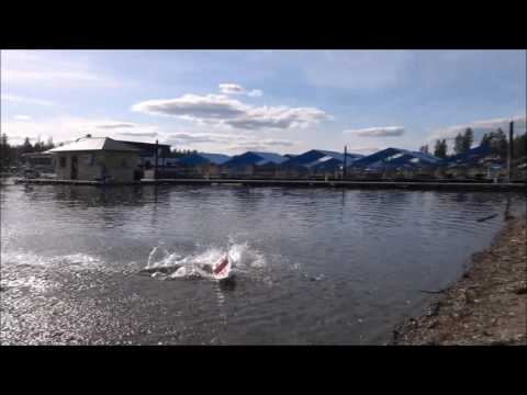 Self Righting Thrasher Jet Boat