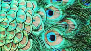 Three Wishes - The Pierces