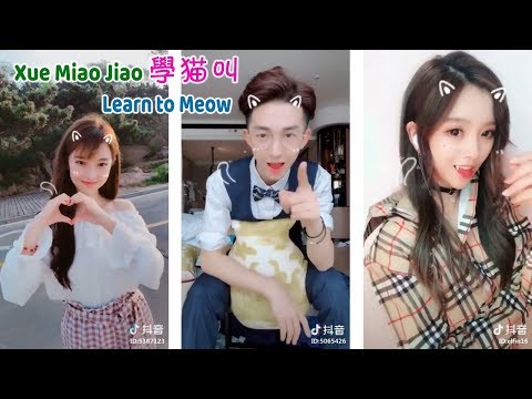 Xue Mao Jiao (学猫叫 Learn to Meow) - Tik Tok China