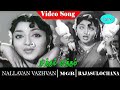 Nallavan Vazhvan Movie Songs Niththam Niththam Video Song M G Ramachandran Rajasulochana