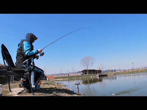 Balta Stuparei 25.03.2022