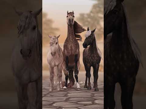 My little Soda Pop 🥤 #sso #starstableonline #starfam