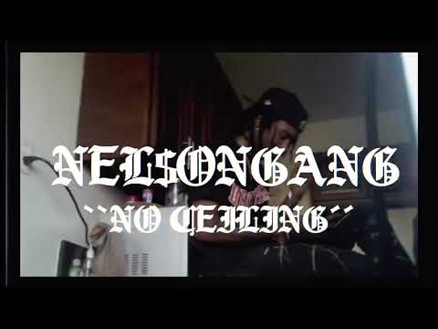 Nelsongang - No Ceilings