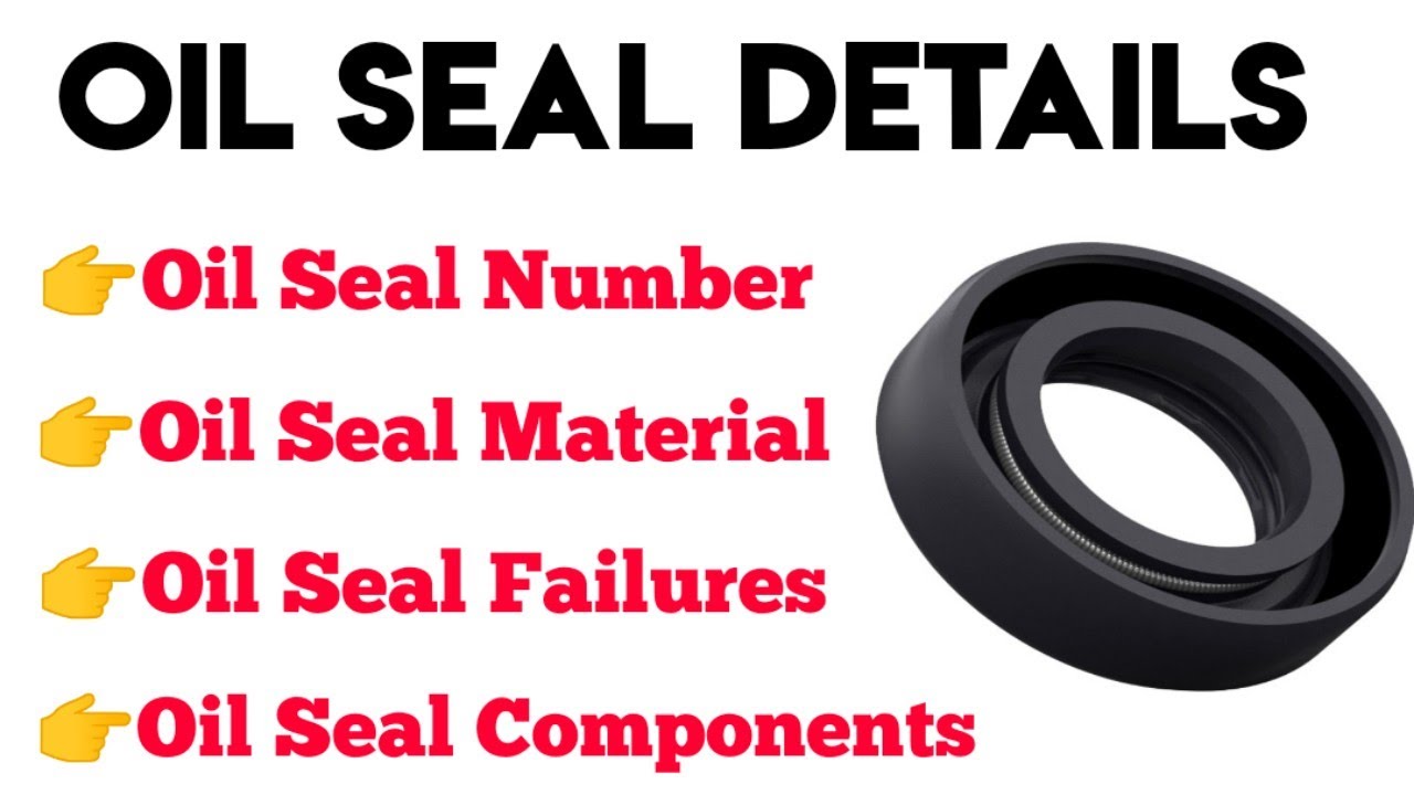 Oil Seal Number | Oil Seal in Gearbox | Oil Seal Failures | Oil Seal