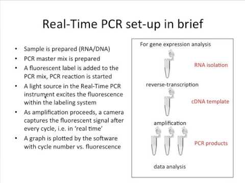 What is Real Time PCR?