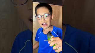 Essa Família tem uma Tradição Muito Peculiar 🦜❤️