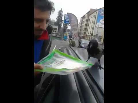 Parlare con il corvo al distributore di via varesina Milano