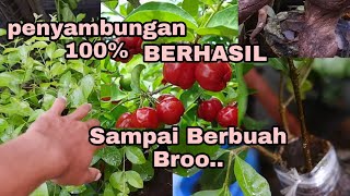 Download lagu The result of connecting the krakas with the sianci mp3