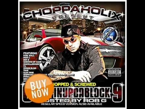 Lil Wayne - Holla At Me Feat  Pitbull & Paul Wall