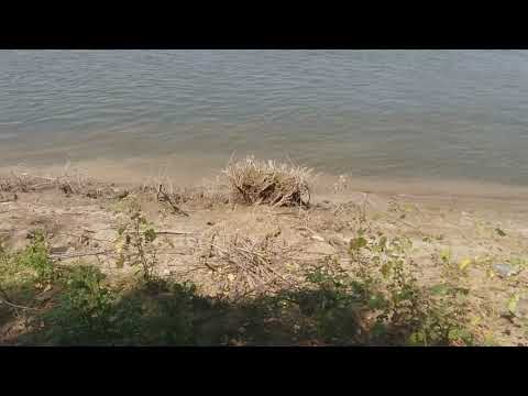 La pescuit la Dunare la Fetesti 2018