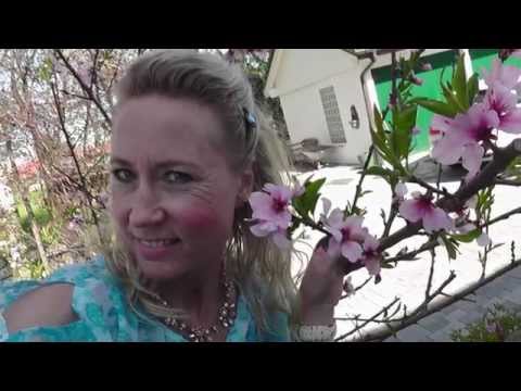 nu har varen kommit  -   lieblingslied im auto 2