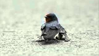 Download lagu Siti Nurhaliza Engkau Bagaikan Permata Lyrics & HQ Audio mp3 Download lagu Siti Nurhaliza Engkau Bagaikan Permata Lyrics & HQ Audio mp3