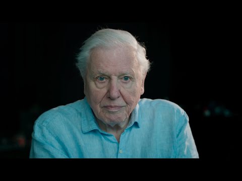 Sir David Attenborough: The Future Of Our Frozen World | Frozen Planet II | BBC Earth