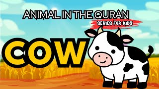 Cow | Animal In The Quran (19:20)