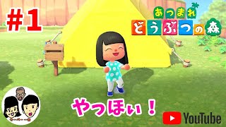 【あつまれどうぶつの森】さーちゃんの無人島生活1日目【あつ森】