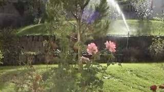 Mike Marshall - Days Like These