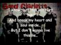 Good Charlotte - The Truth, lyrics