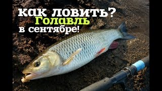 Ссылка