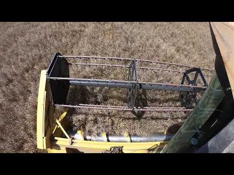 Rapsernte 2020 Züribiet