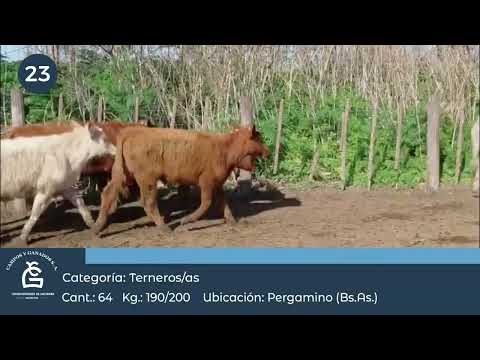 Lote M Y H - Pergamino Bs As