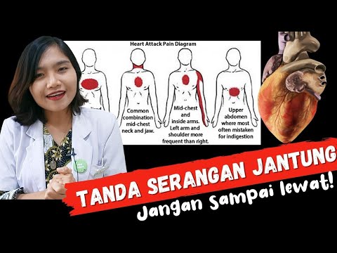 Nozzle memperbesar ukuran penis Anda Melambung kaki untuk potensi