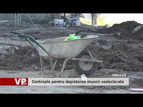 Controale pentru depistarea muncii nedeclarate
