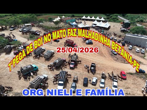 7°PEGA DE BOI NA FAZENDA MALHADINHA BETÂNIA-PE ORG NIELE E FAMÍLIA  25/04/2026