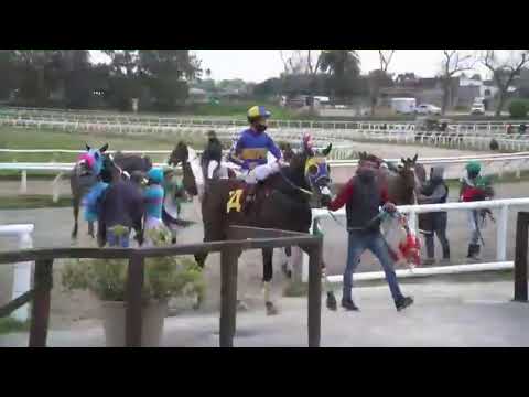 CARRERAS HLP 31 DE AGOSTO 2020 - WWW.MARONASONLINE.COM