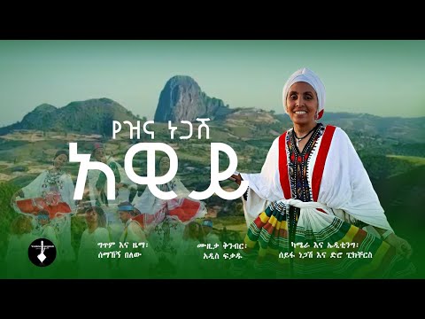 አዊይ | የዝና ነጋሽ - Awiy | Yezina Negash NEW MUSIC VIDEO 2025/2017