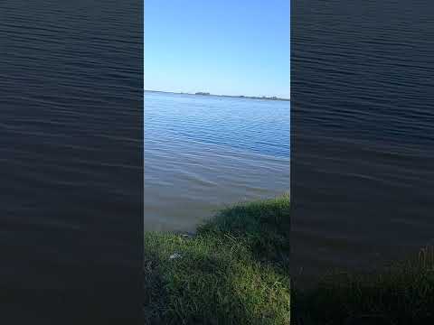 Laguna de Lobos, Buenos Aires