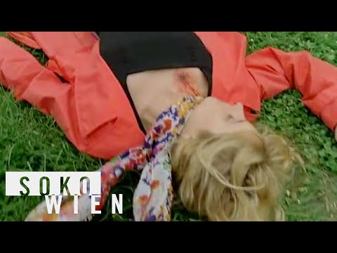 ᴴᴰ SOKO Wien Staffel 4 Folge 3 - Der Fall Dr. Seiler