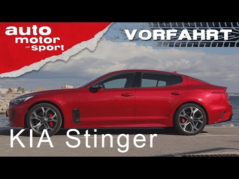 Kia Stinger: Angriff auf Audi und BMW! - Vorfahrt | auto motor und sport