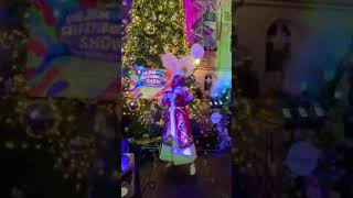 Magic Bubble Show