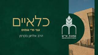 שיעור שלישי בהלכות כלאים - גפנים ועצי פרי