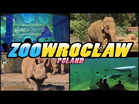ZOO WROCŁAW - Afrykarium Zoo Wrocław - Poland (4k)