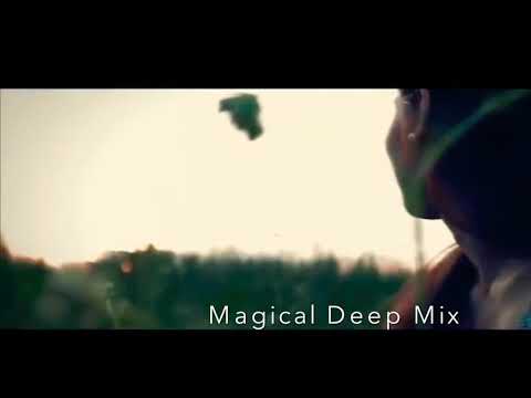 Andrey Pitkin & Alexander Gecko - Flying Emotion (Sıtkı hıdıS Vocal Remix)