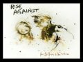 Rise Against Under The Knife Sped Up 